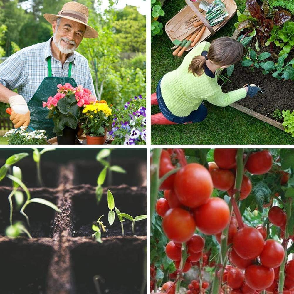 macoya seed starter kit in-use image demonstrates versatile indoor outdoor setup