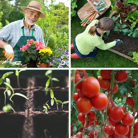 macoya seed starter kit in-use image demonstrates versatile indoor outdoor setup