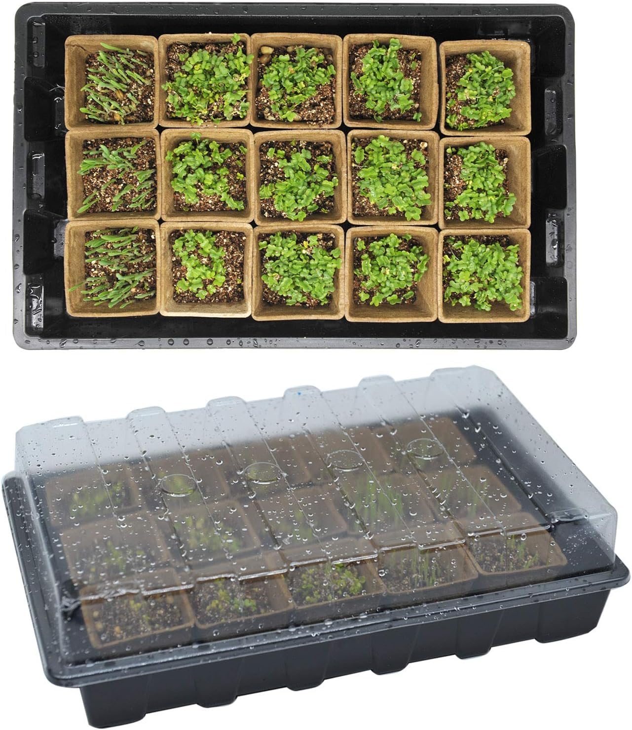 macoya seed starter kit plant labels help organize varieties for easy tracking