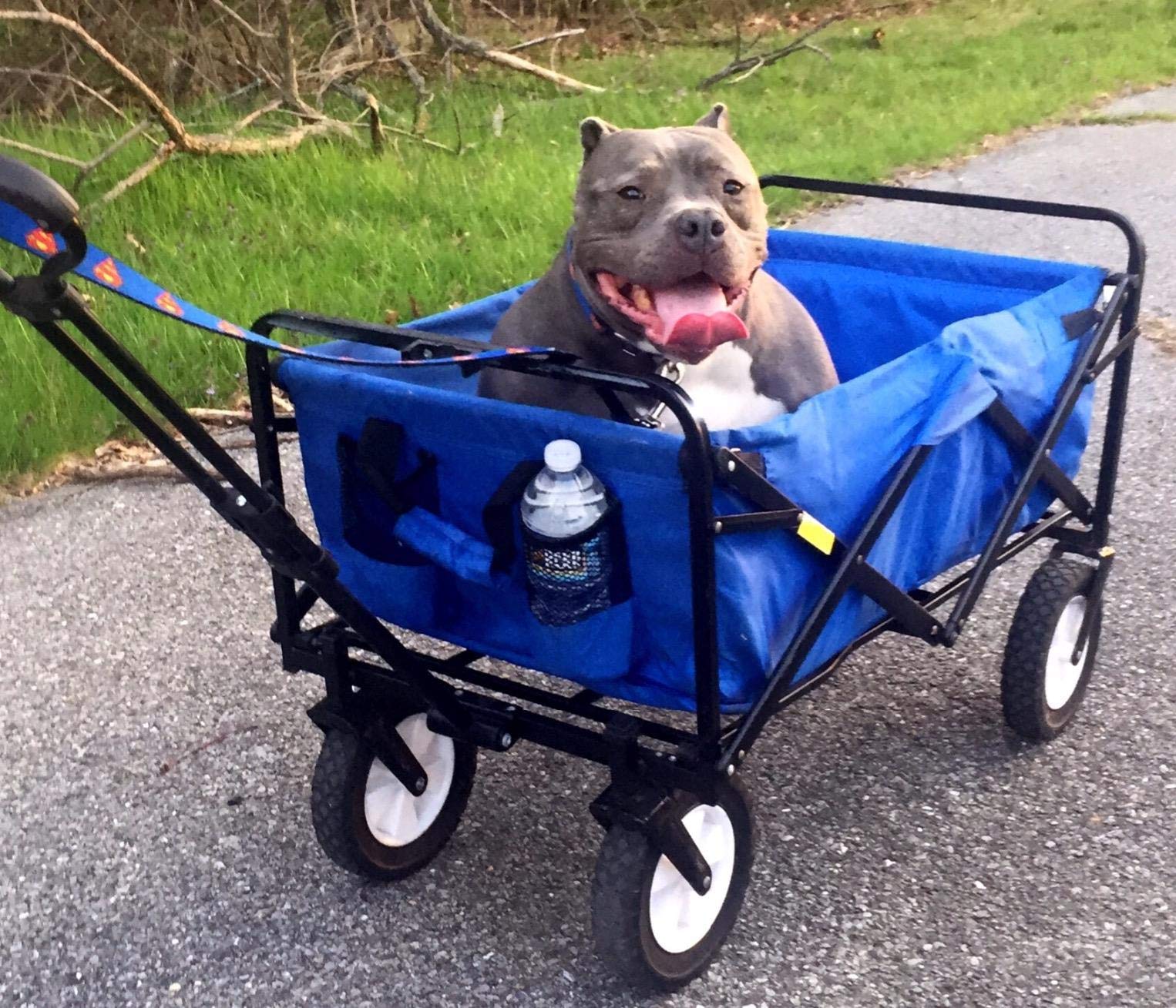 Mac Sports blue wagon folded to eight inches thick for tight spaces