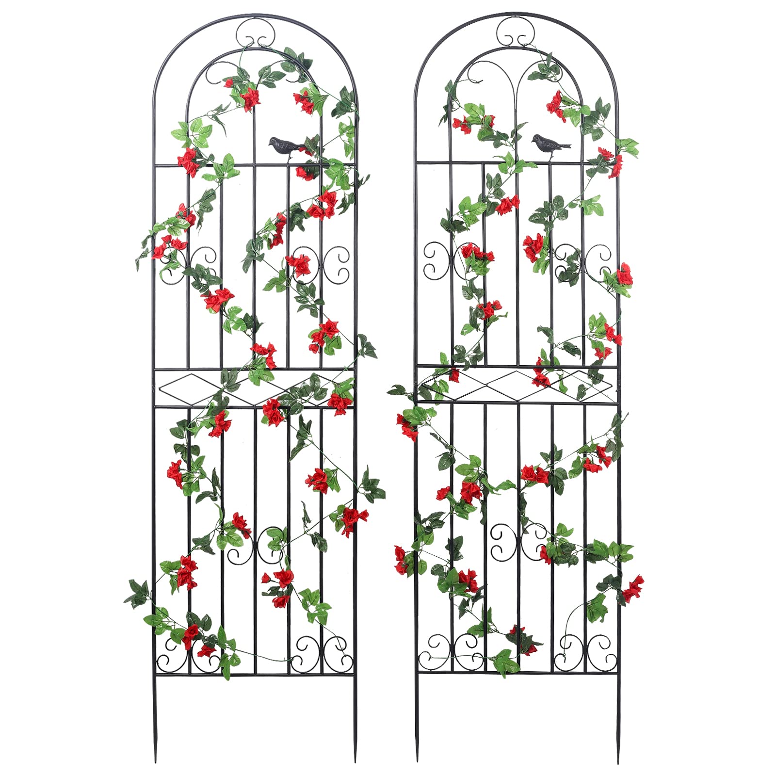 Macteyia 2-pack trellis assembly for quick garden setup and support.