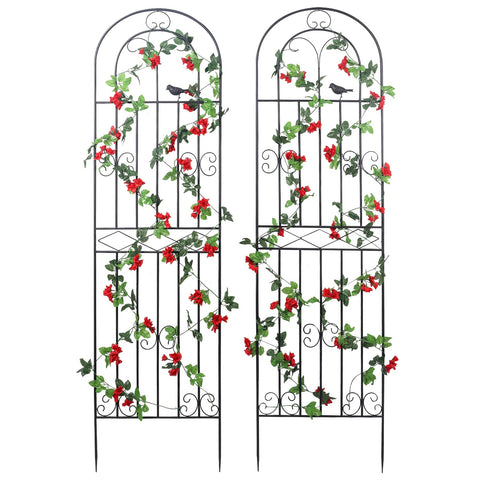 Macteyia 2-pack trellis assembly for quick garden setup and support.