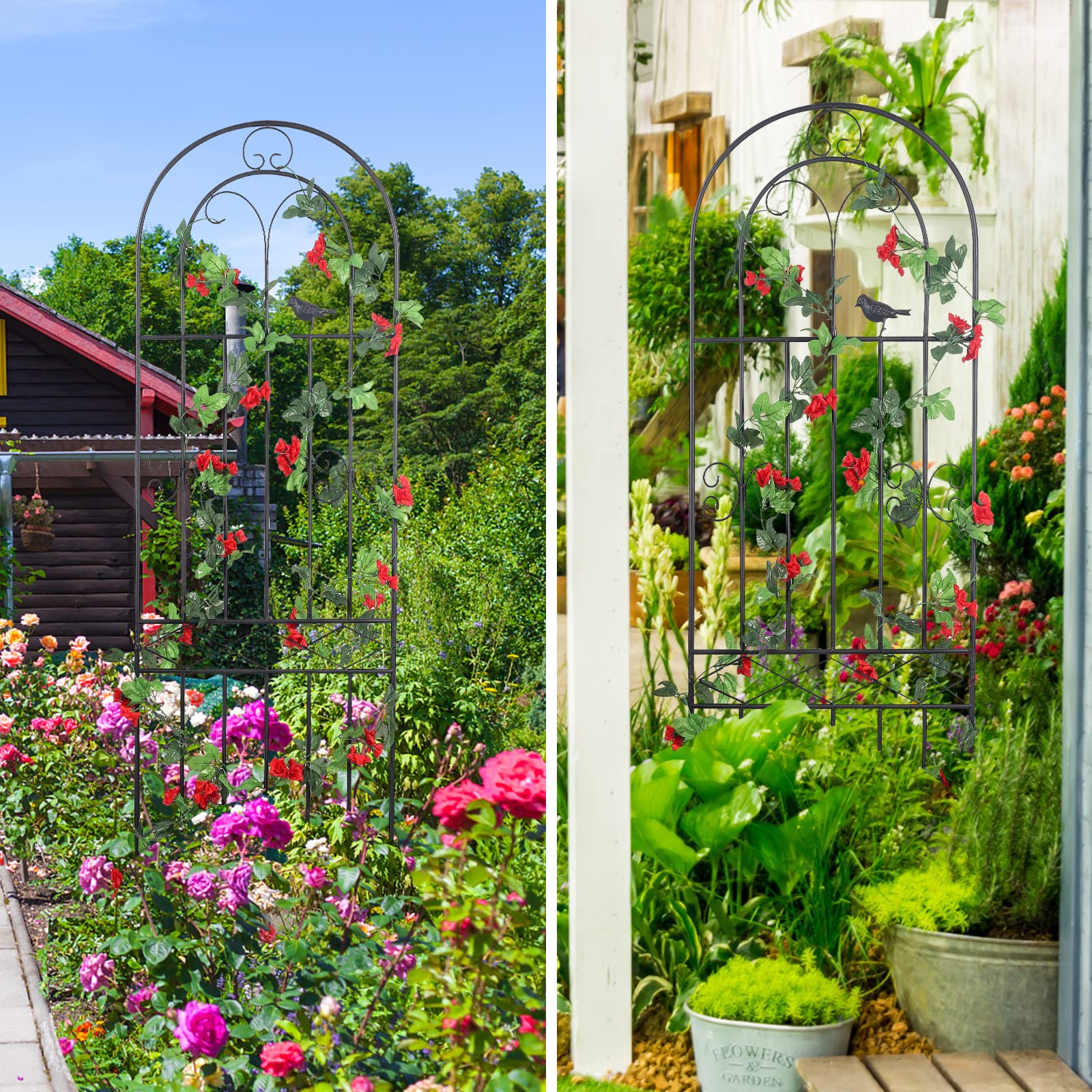 Macteyia plant support for climbers and flowering vines