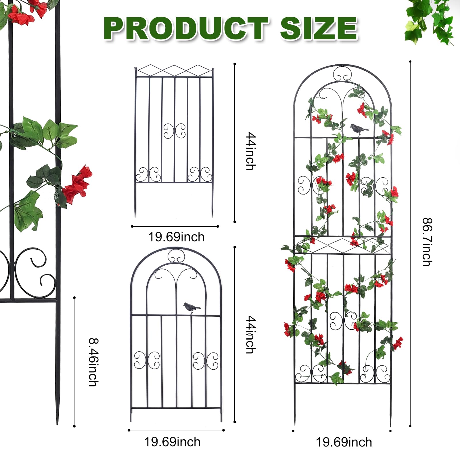 Macteyia trellis features unique bird pattern for stylish garden appeal.