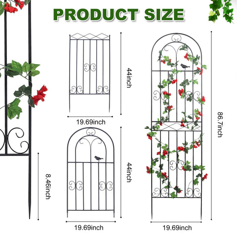 Macteyia trellis features unique bird pattern for stylish garden appeal.