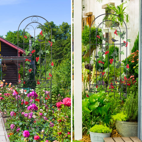 Macteyia 2-pack provides versatile setup against walls or fences.