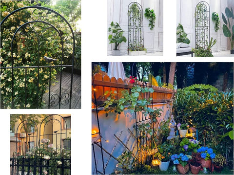 Macteyia trellis wire lattice supports roses, vines, tomatoes, and cucumbers.