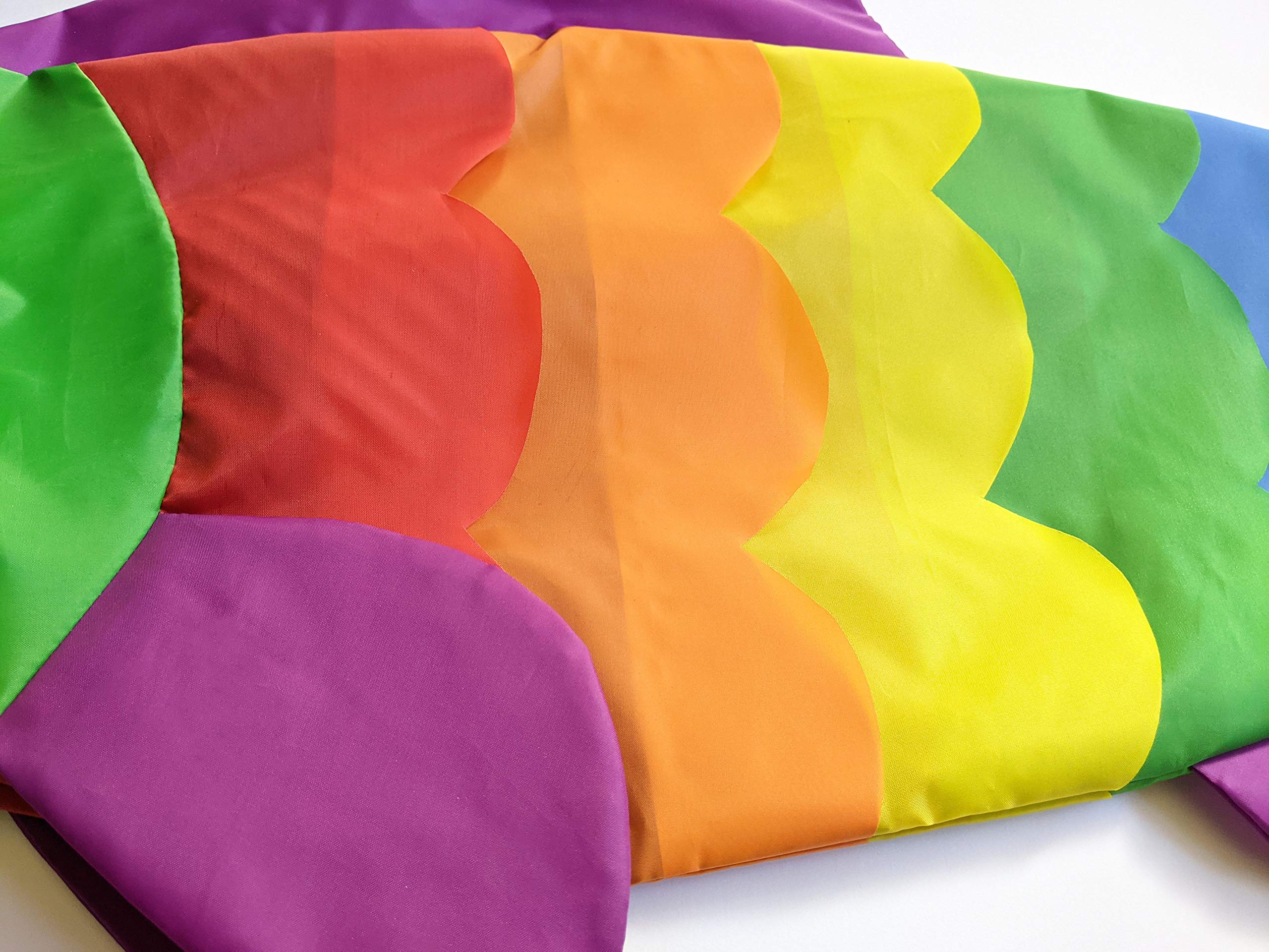 Madrona Brands Rainbow Fish Windsock purple fins flutter attractively
