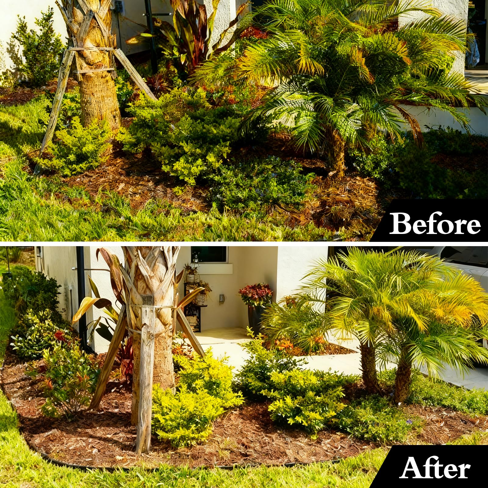 Maebeacae black edging along a path creating crisp lines