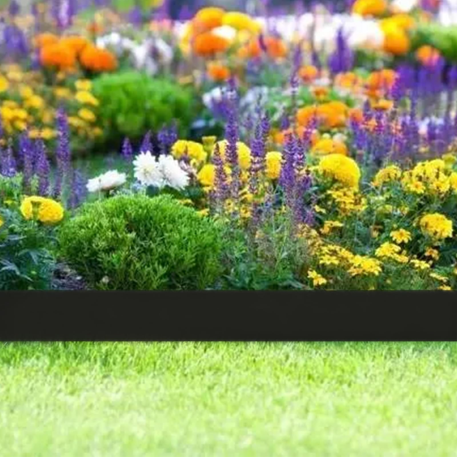 Maebeacae edging installed along a walkway for defined borders