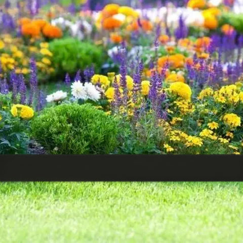 Maebeacae edging installed along a walkway for defined borders