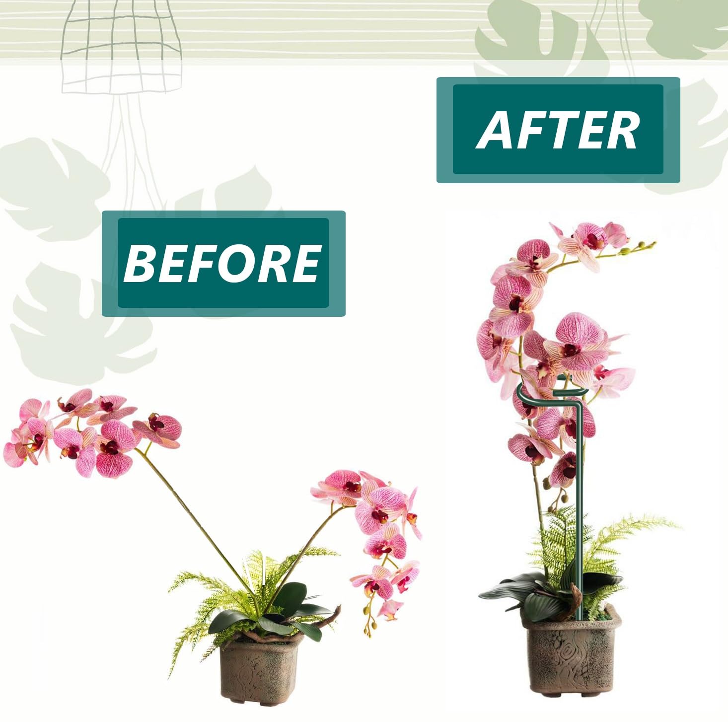 MAFONE plant stakes supporting roses and orchids with stable upright growth.