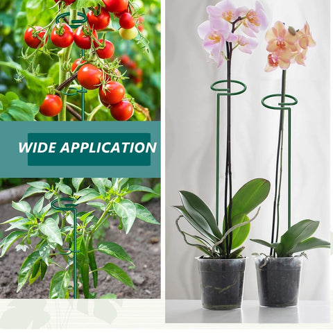 MAFONE stake set shown with 20 clips and 2m ties for quick plant organization.