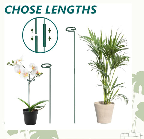 MAFONE supports two sizes for versatile indoor and outdoor plant care.