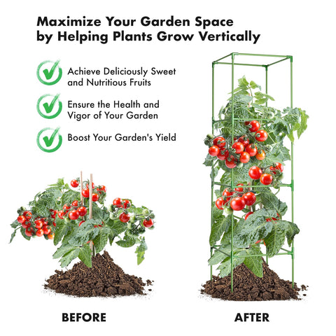 MAGGIFT 4-pack offers versatile use in pots and garden beds.
