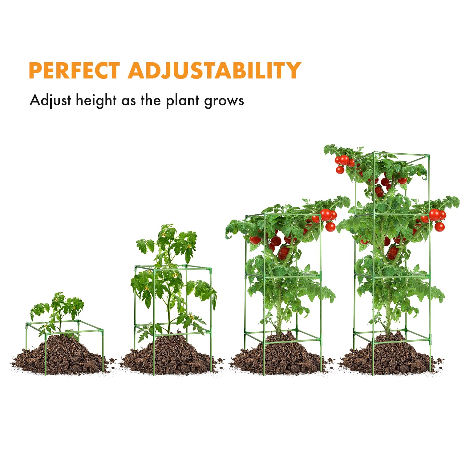 MAGGIFT cage supports jasmine, beans, and roses with vertical growth.