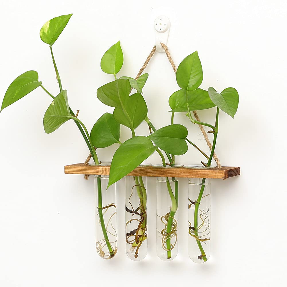 Maghat four test tube vases create a layered display for air plants.