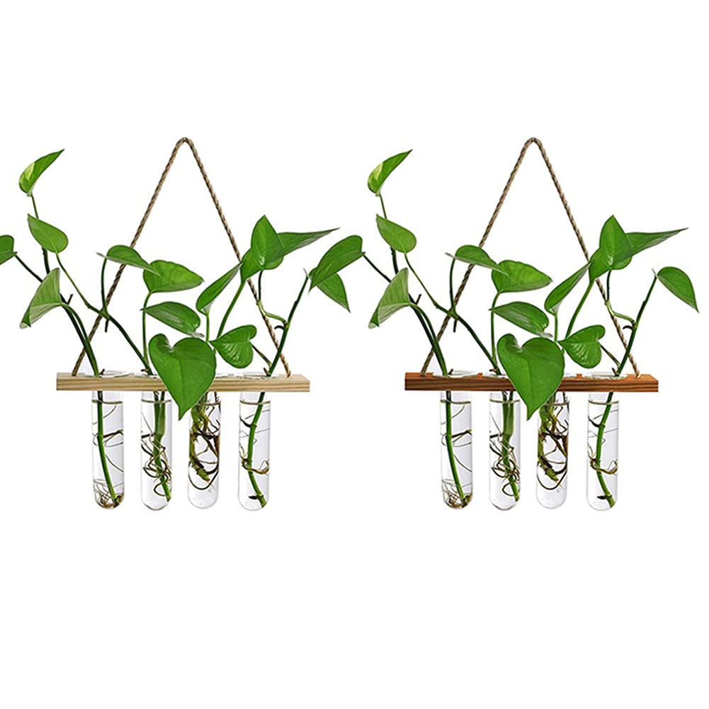 Maghat four-tube propagation system supports plant layering.