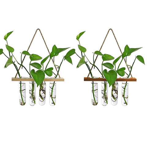 Maghat four-tube propagation system supports plant layering.