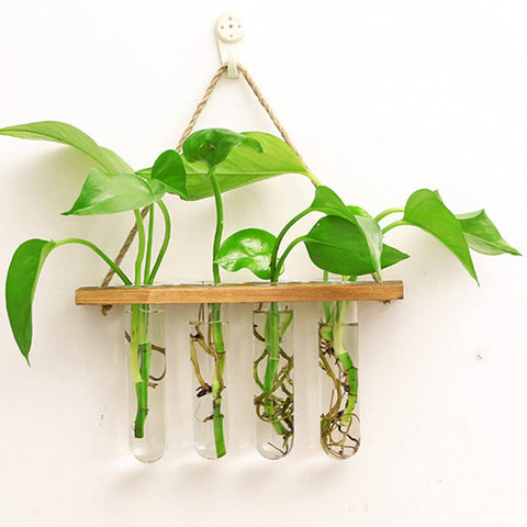 Maghat natural wooden frame complements any room style.