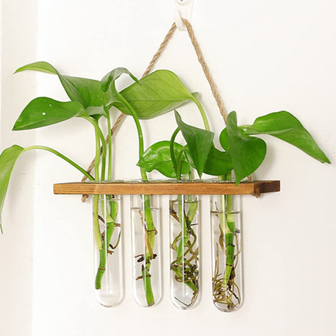 Maghat removable glass vase simplifies filling and cleaning.