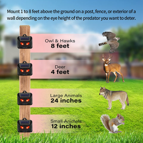 MAGIC CAT four-pack provides scalable protection for larger properties.