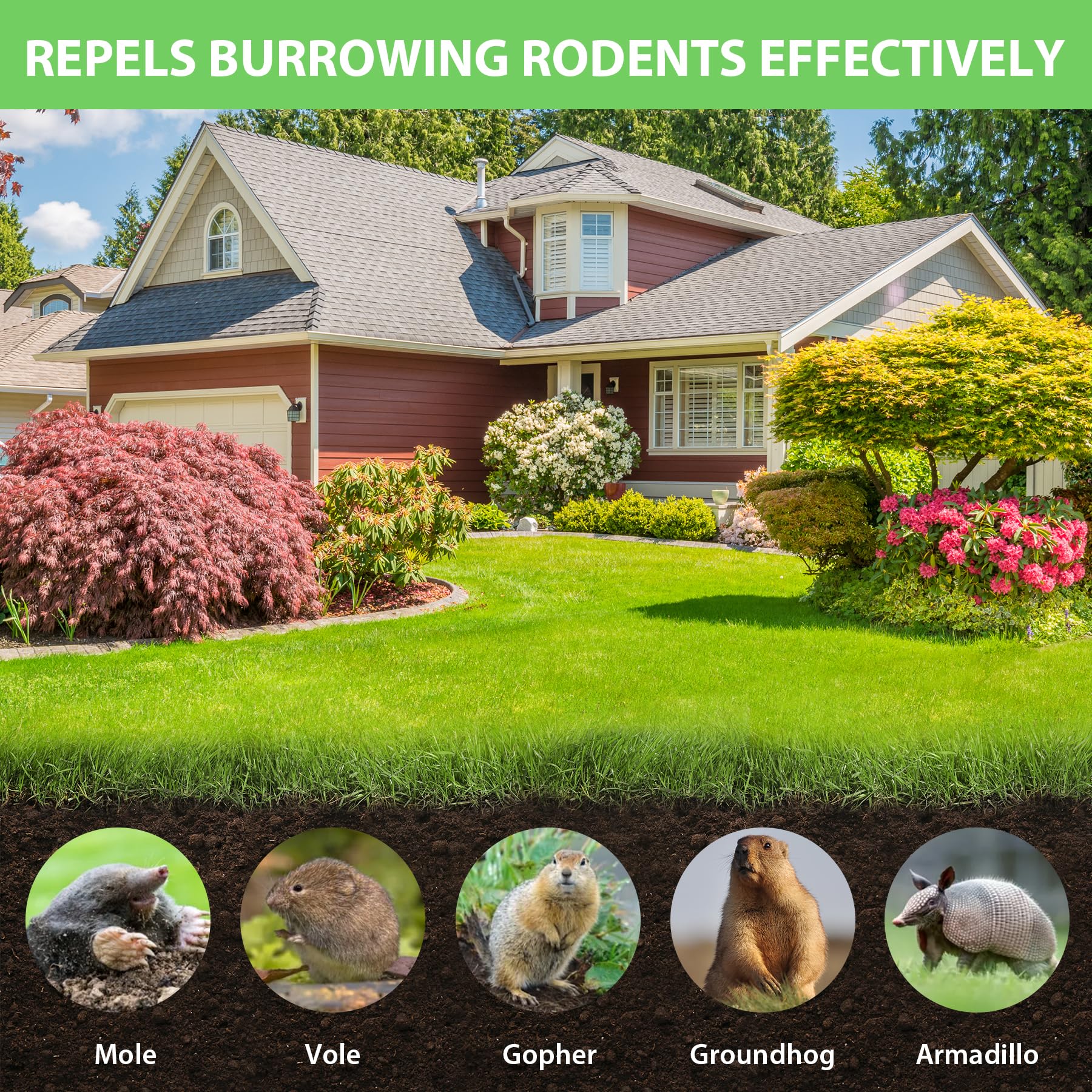 Lawn application scene with Magic Cat deterrent placed to protect turf.