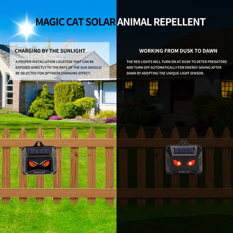 MAGIC CAT solar animal repeller mounted on a post provides yard-wide protection.