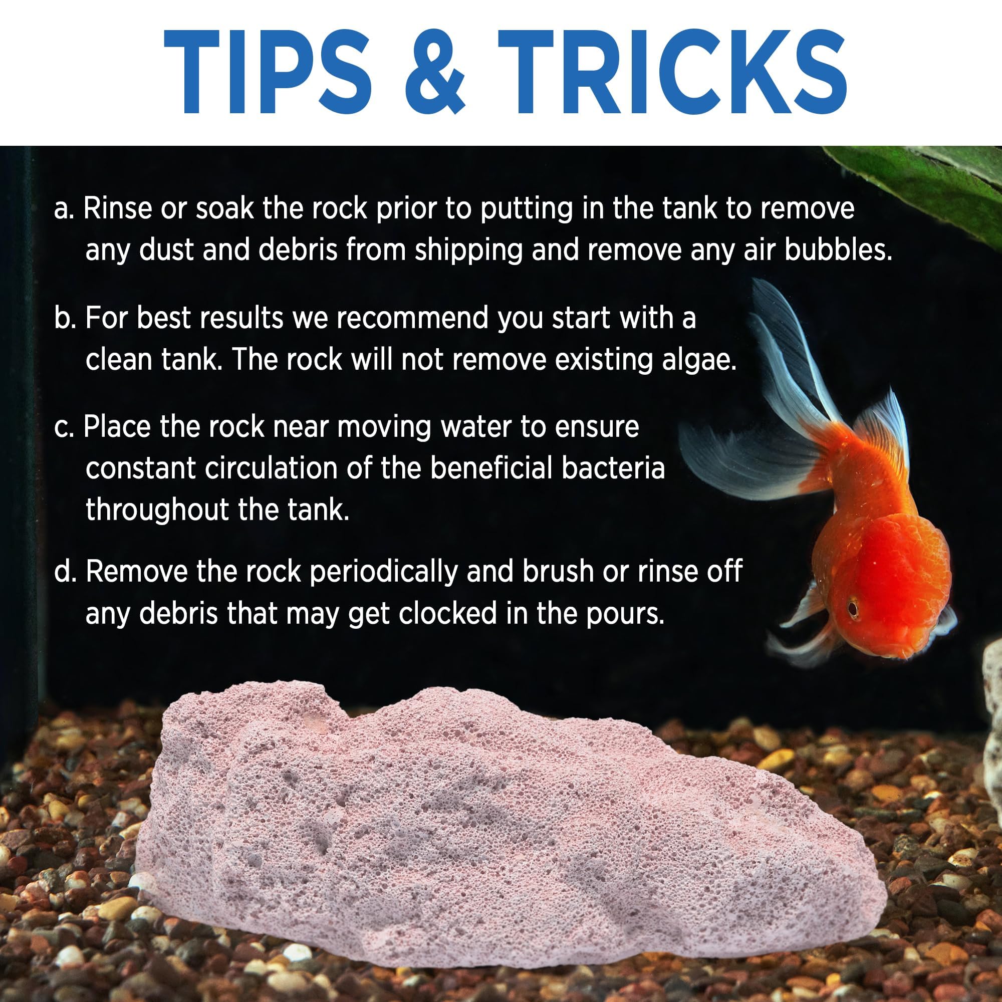 Magic Tank Rock easy-setup fits into regular cleaning routines.