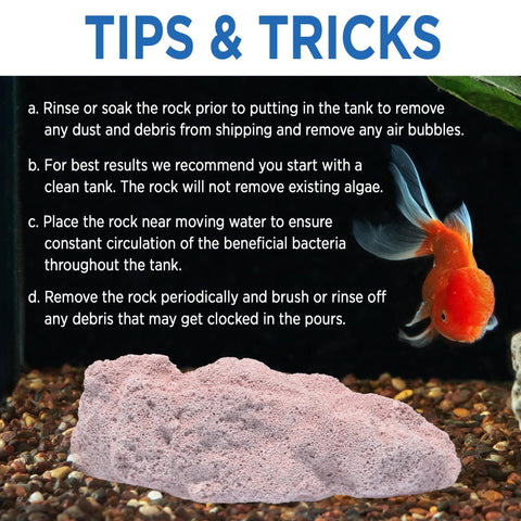 Magic Tank Rock easy-setup fits into regular cleaning routines.
