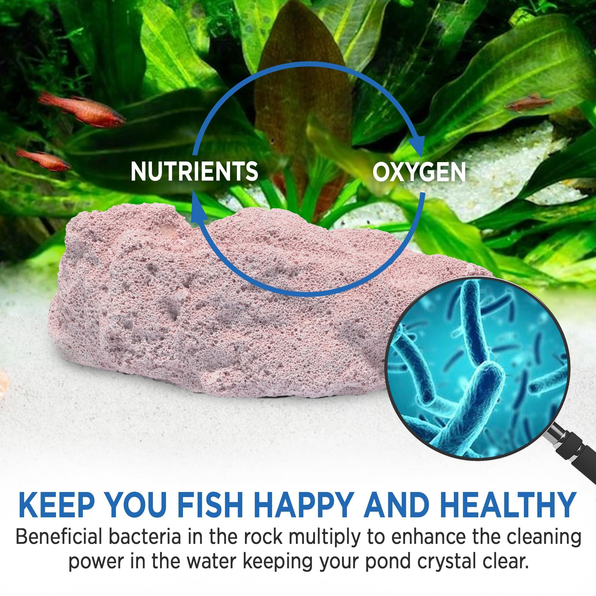 Magic Tank Rock enhanced-visibility helps you enjoy your aquatic life more easily.