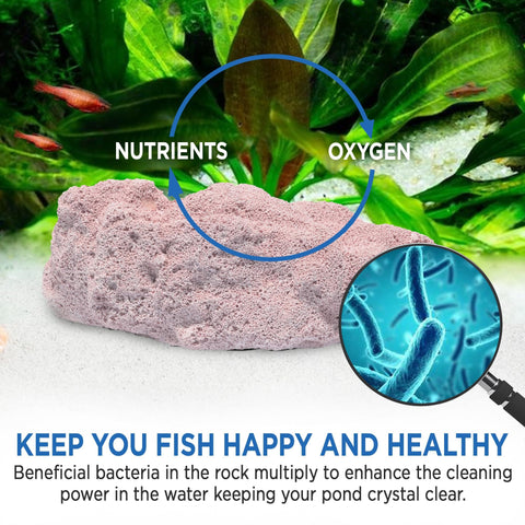 Magic Tank Rock enhanced-visibility helps you enjoy your aquatic life more easily.