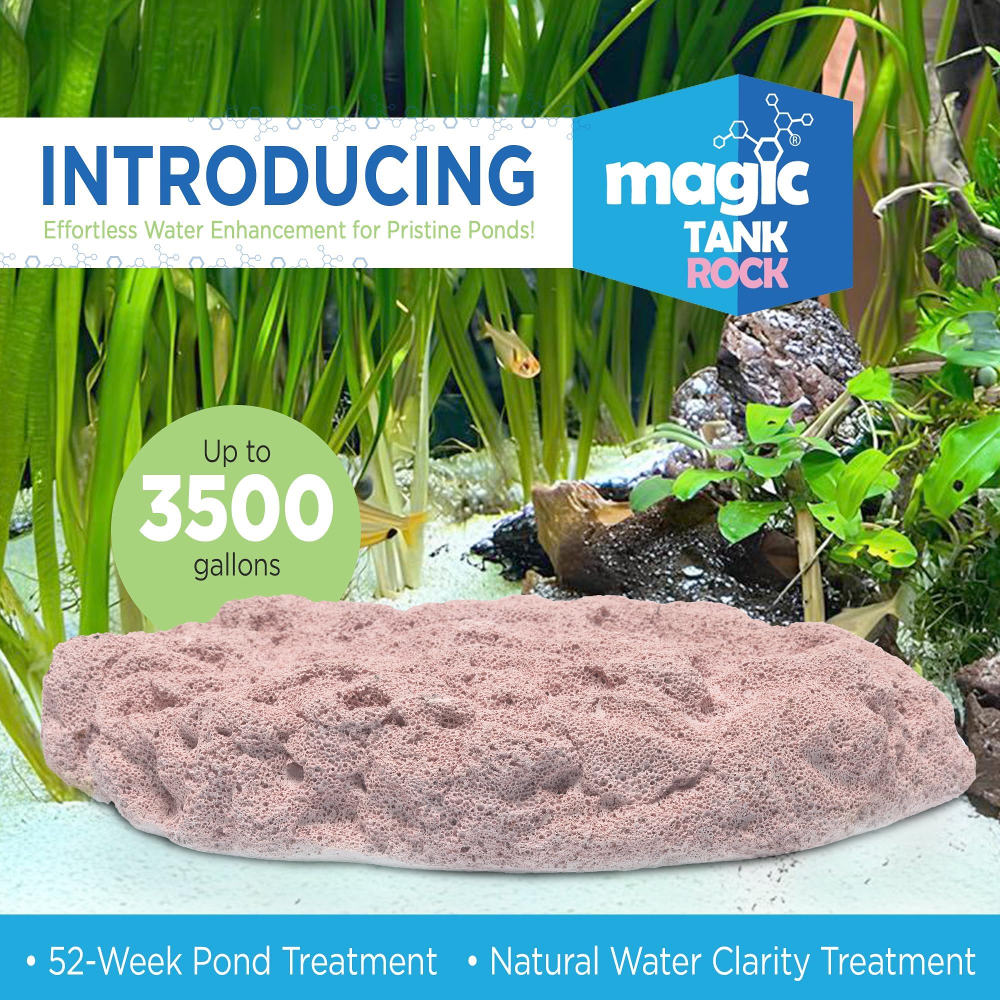 Magic Tank Rock surface-area boost supports natural filtration for healthier water.