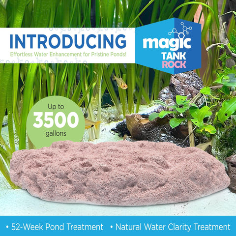 Magic Tank Rock surface-area boost supports natural filtration for healthier water.