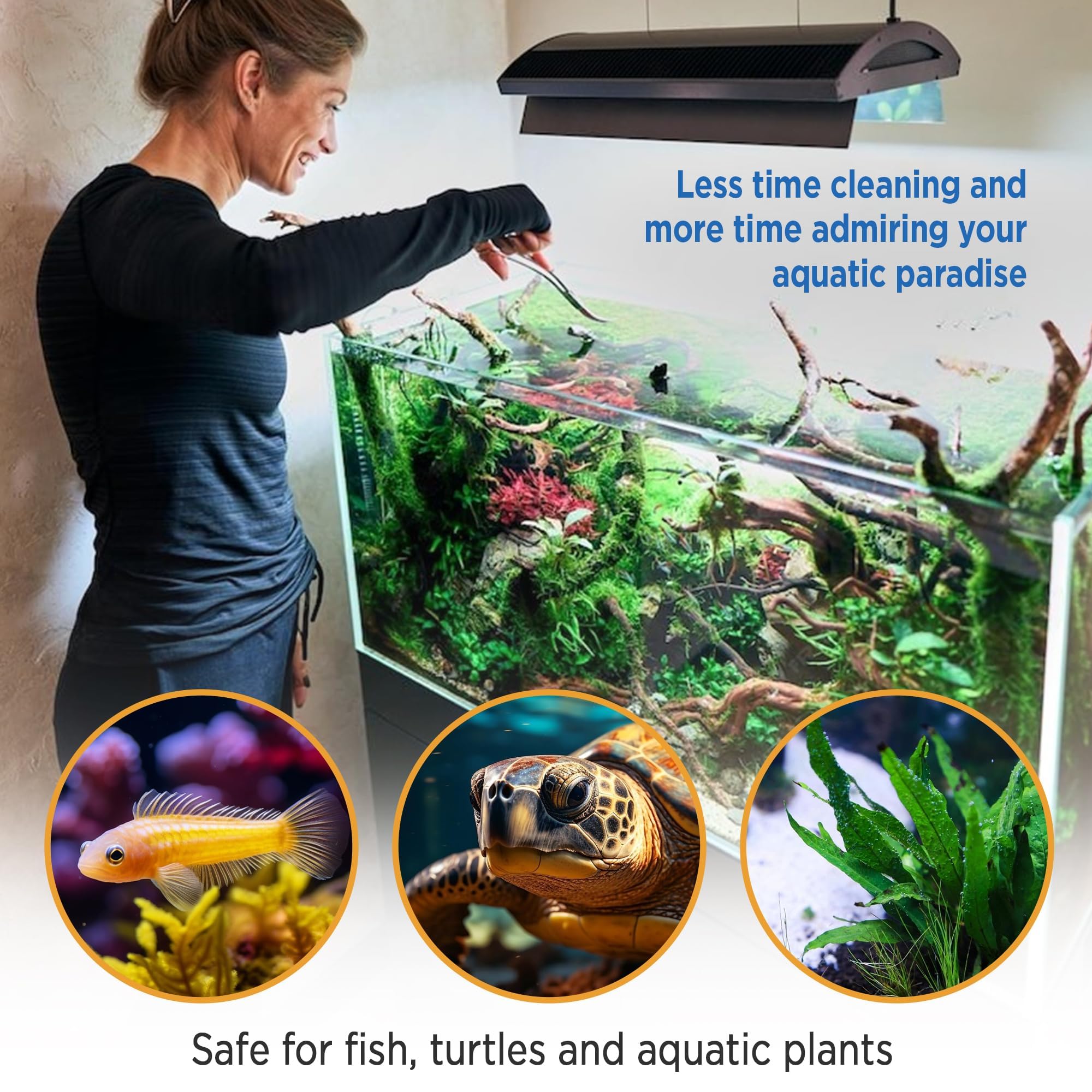 Magic Tank Rock long-lasting performance delivers up to a year of clearer water.