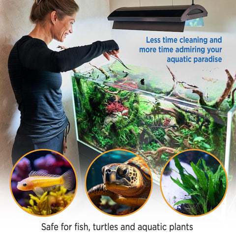 Magic Tank Rock long-lasting performance delivers up to a year of clearer water.