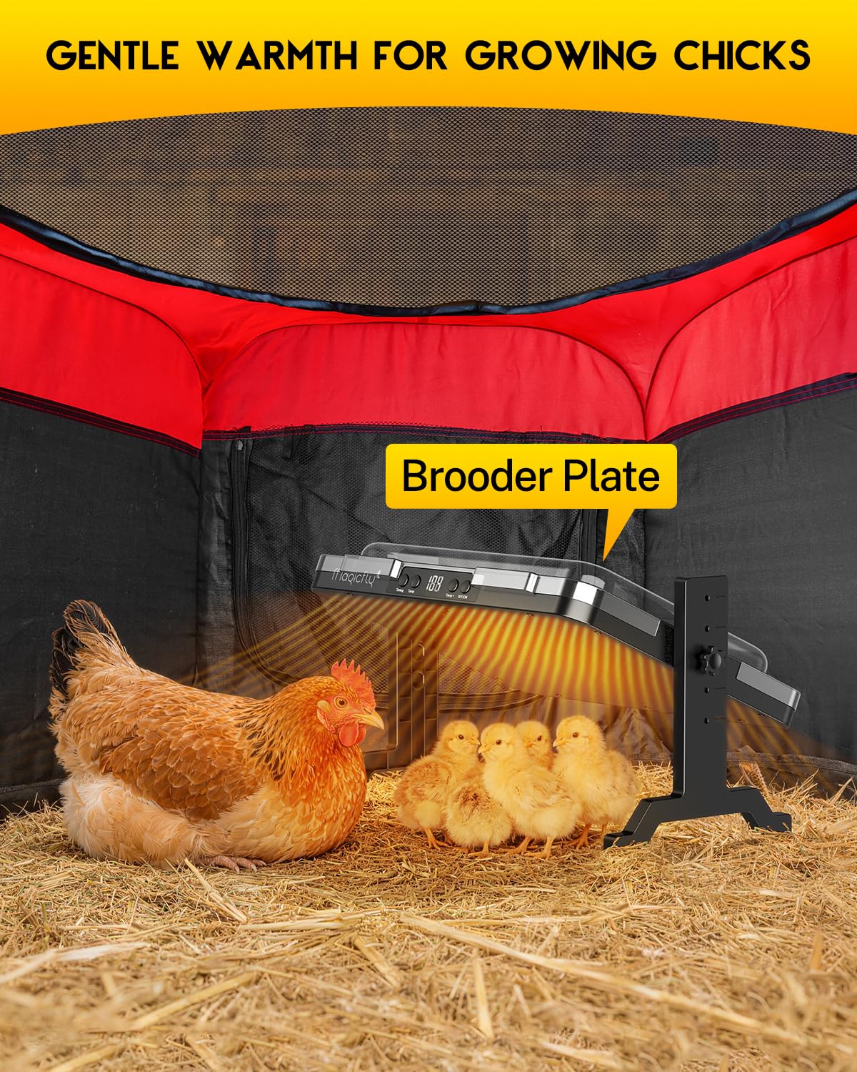 Magicfly brooder pen with perch for growing chicks