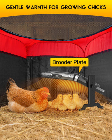 Magicfly brooder pen with perch for growing chicks