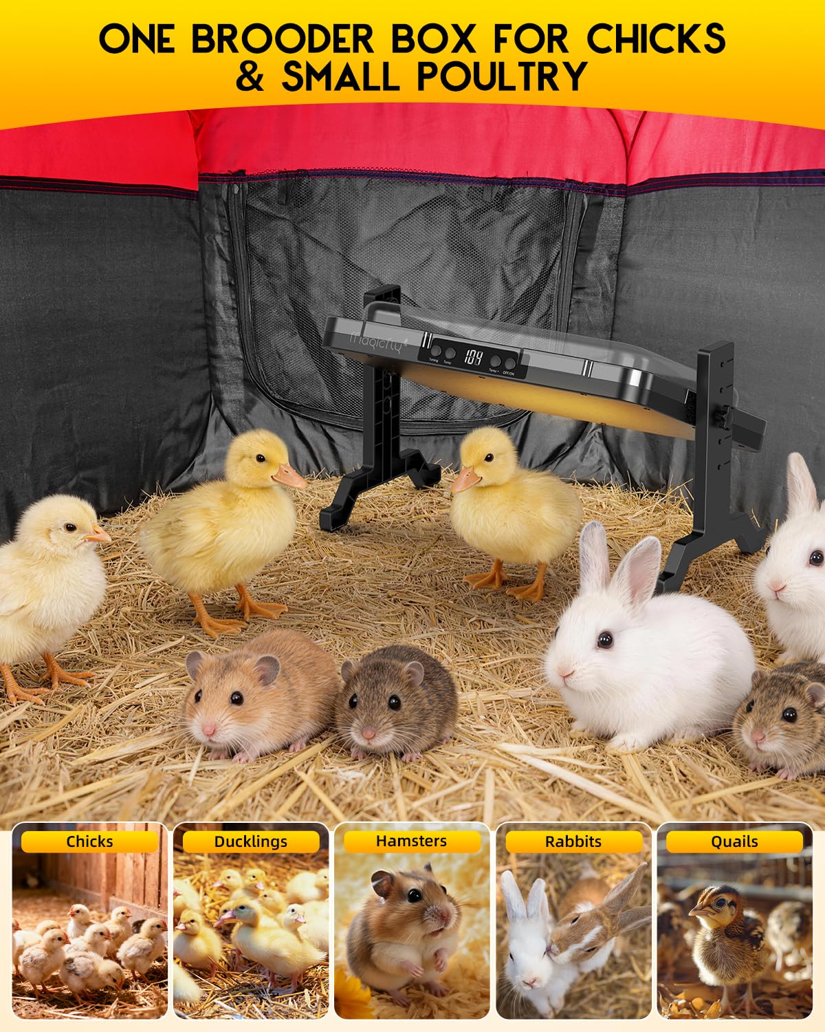 Magicfly double-door brooder design reduces escapes during checks