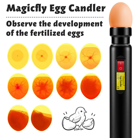 Magicfly egg candler charging and use indoors or outdoors