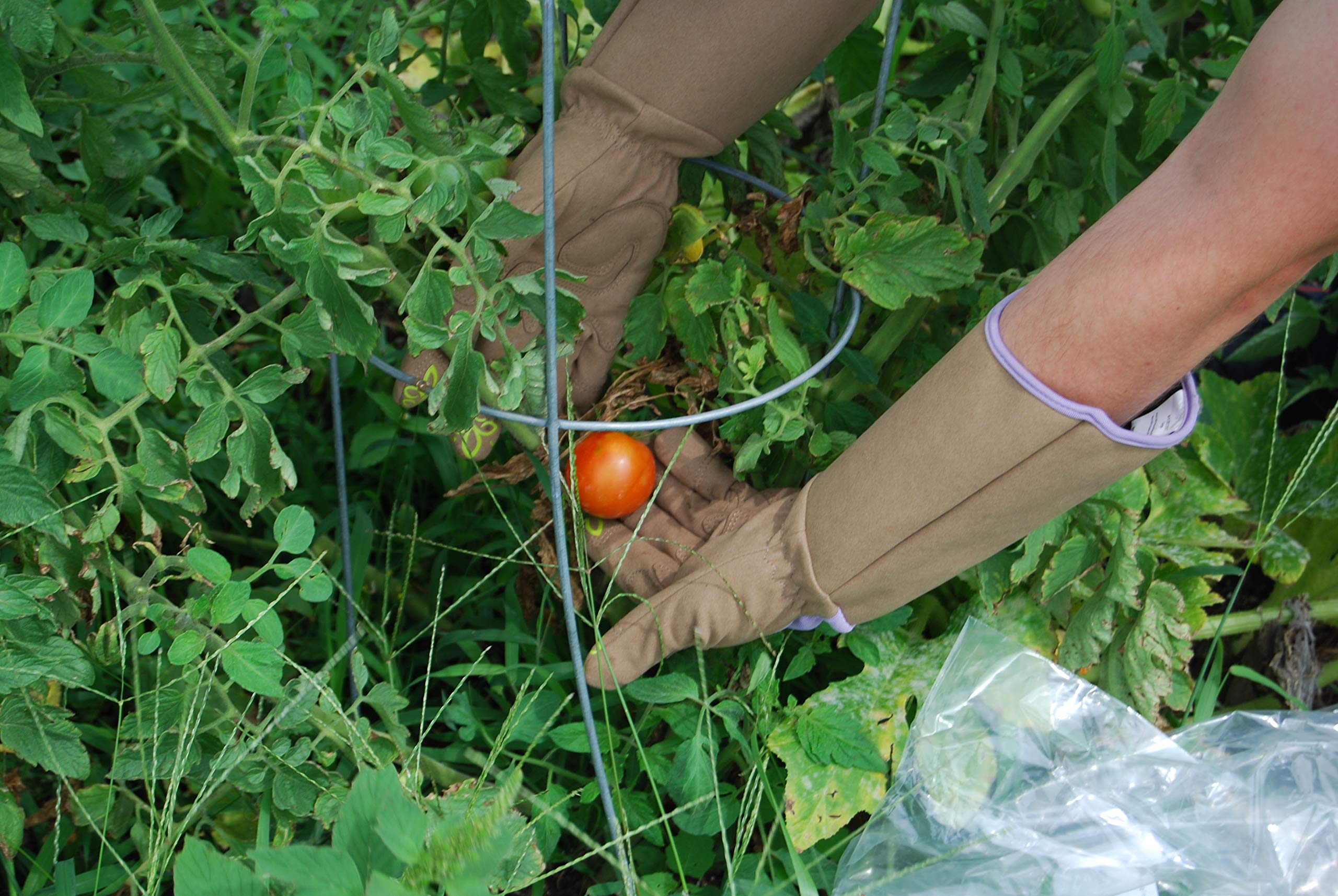 Magid floral-print fingertips provide raised grip during pruning.