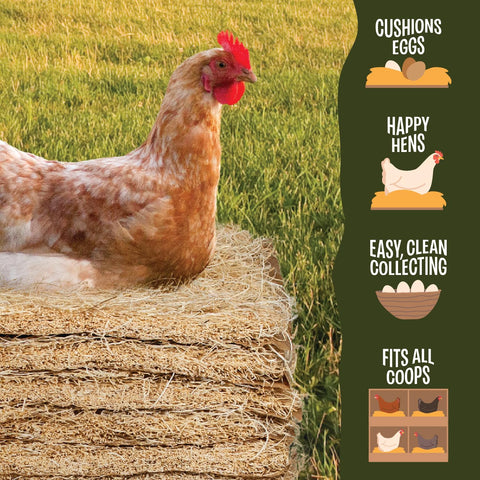 MagJo natural wood nest liners USA-made inside a chicken coop