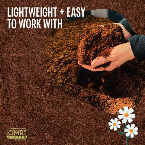 MagJo Naturals coco-peat air pockets promote healthier root oxygenation.