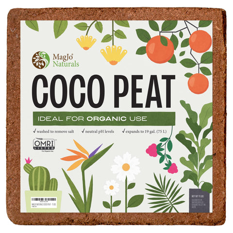 MagJo Naturals coco-peat block expands to support seedlings with airy roots.