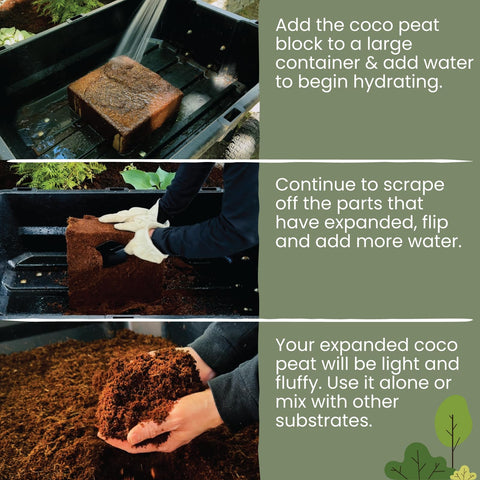 MagJo Naturals coco-peat expansion demonstrates light, airy soil pockets.