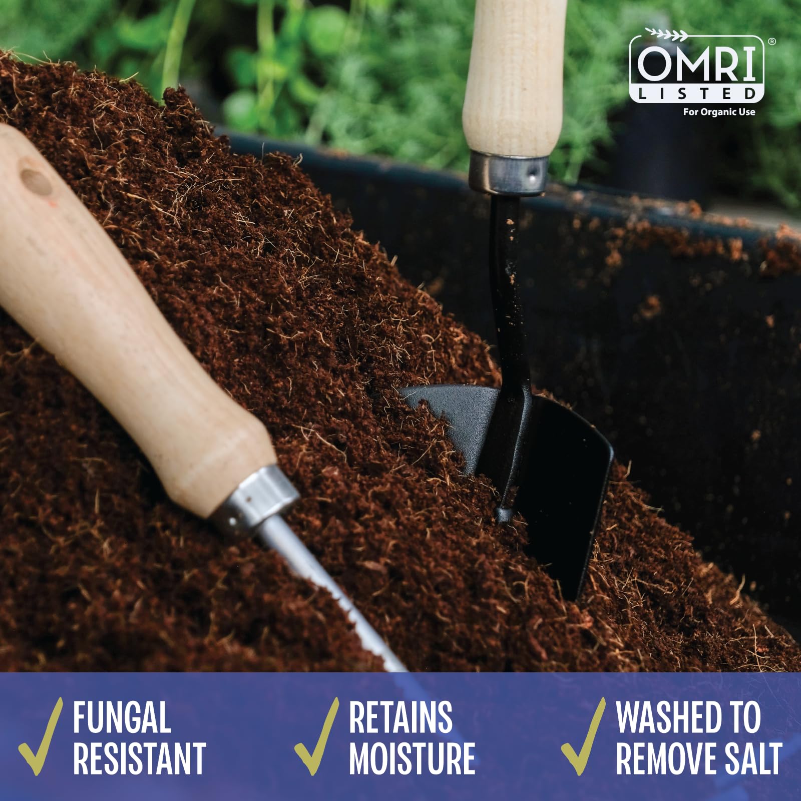 MagJo Naturals coco-peat moisture-retention visibly holds water for plants.
