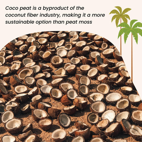 MagJo Naturals coco-peat OMRI-listed label signals organic gardening suitability.