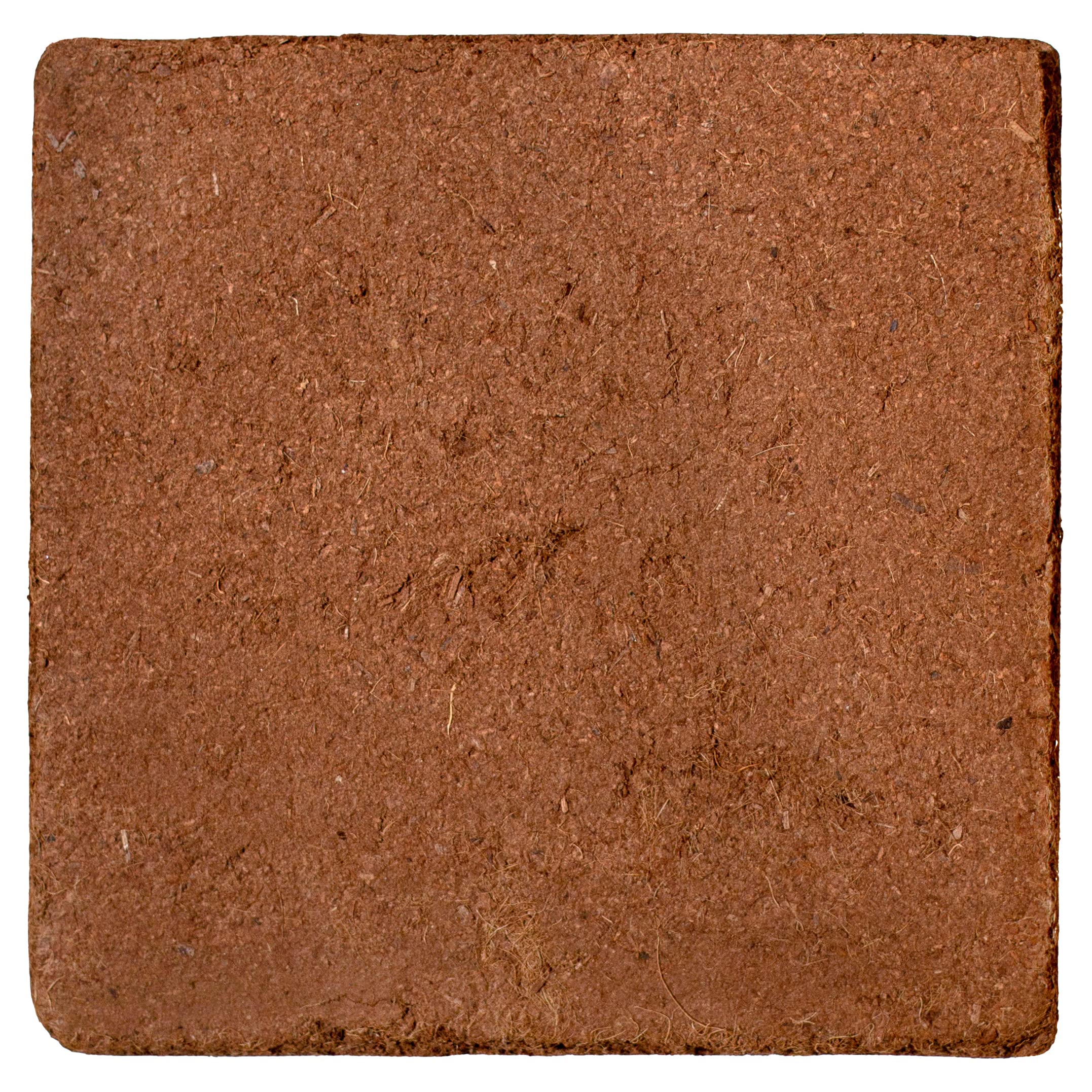 MagJo Naturals coco-peat uses are shown in seed starting and containers.