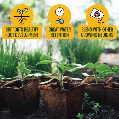 MagJo Naturals coco-peat shows water-saving benefits for efficient irrigation.