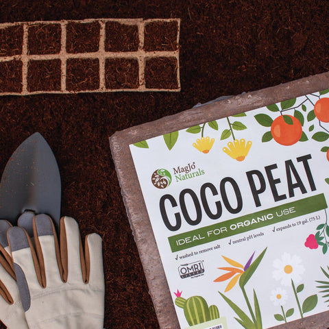 MagJo Naturals washed coco peat appears clean and salt-free for organic beds.